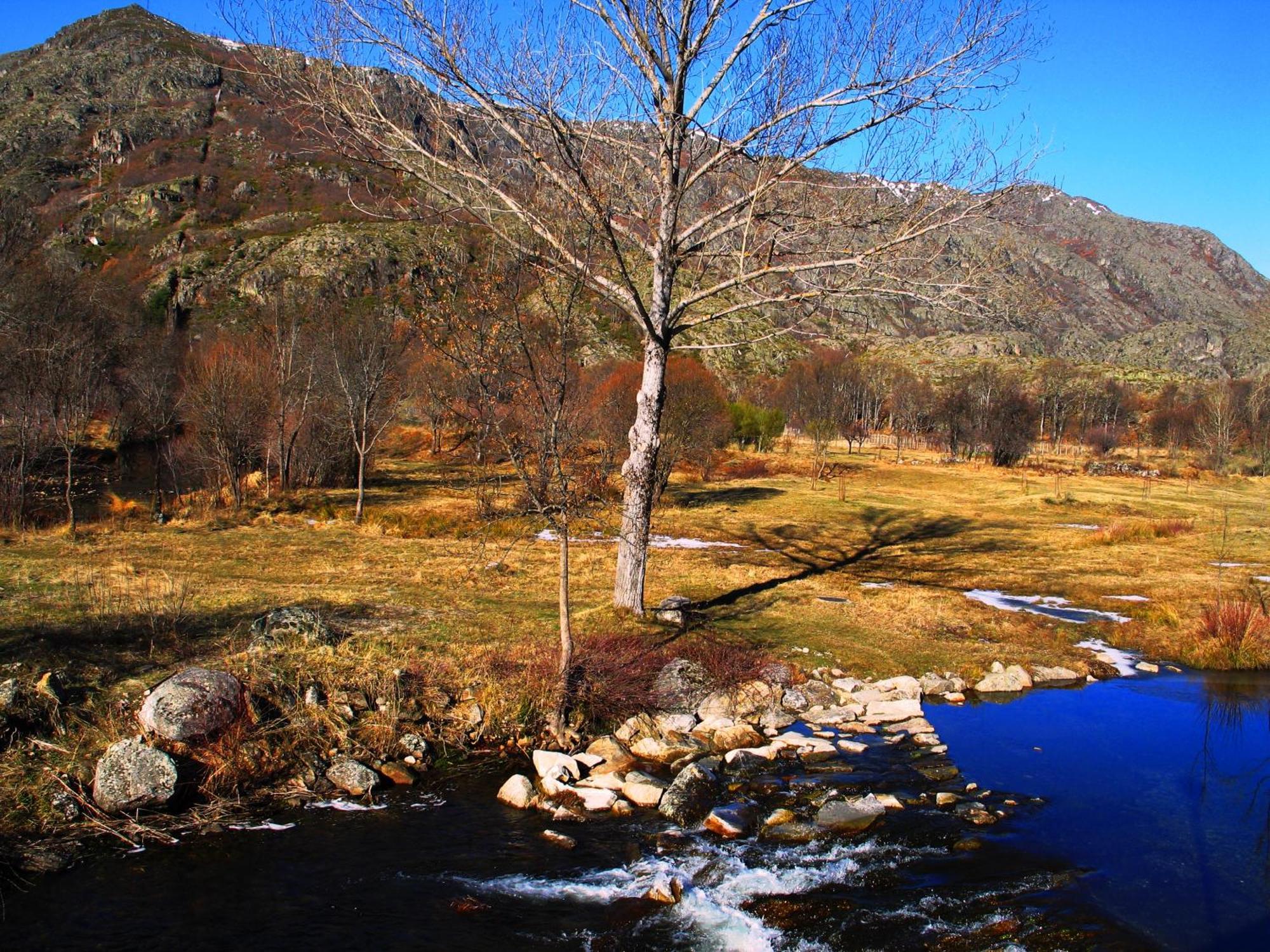 Hostal Martin - Sanabria Рибаделаго Экстерьер фото